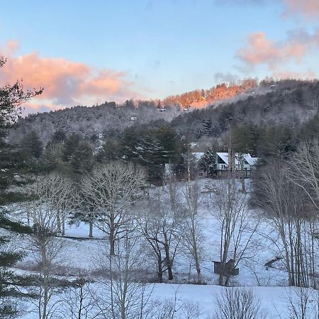 Longview Lodge Dillard Kültér fotó